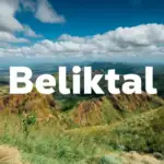 Karate Cats: The Feline Masters of Martial Arts