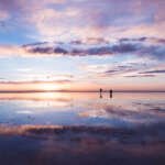 GoldZeus: Understanding the Power of GoldZeus