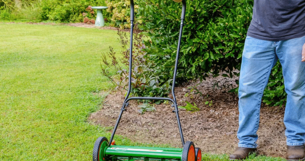 Reel Mower
