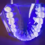 Frederick George Lampard A Closer Look at a Name That Carries History and Character